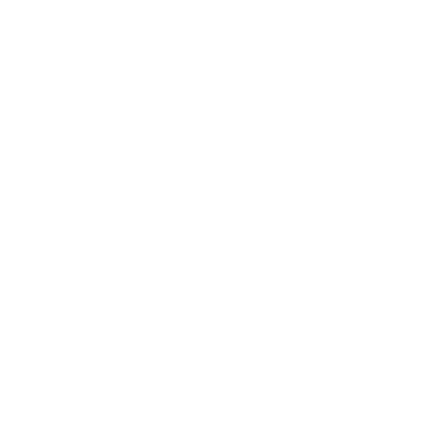 focus on the family